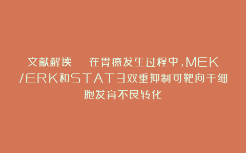 文献解读 | 在胃癌发生过程中,MEK/ERK和STAT3双重抑制可靶向干细胞发育不良转化