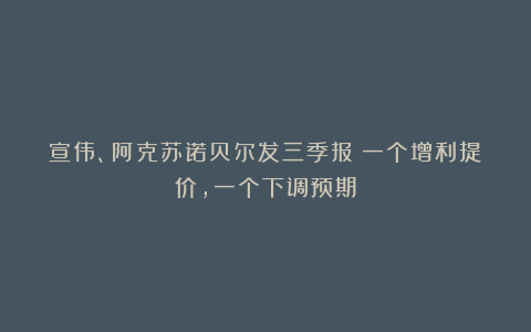 宣伟、阿克苏诺贝尔发三季报:一个增利提价,一个下调预期