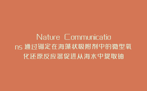 Nature Communications|通过锚定在海藻状吸附剂中的微型氧化还原反应器促进从海水中提取铀