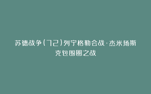 苏德战争(72)列宁格勒会战·杰米扬斯克包围圈之战