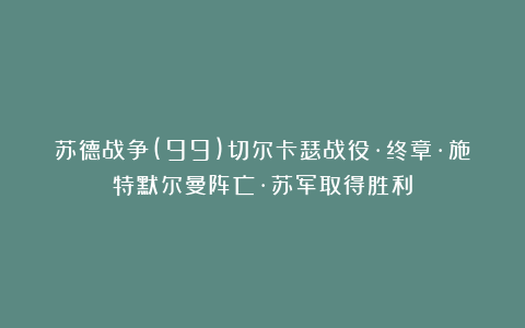 苏德战争(99)切尔卡瑟战役·终章·施特默尔曼阵亡·苏军取得胜利