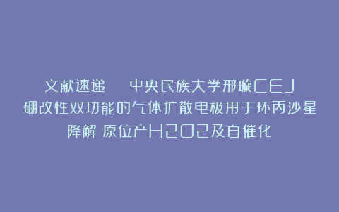 文献速递 | 中央民族大学邢璇CEJ:硼改性双功能的气体扩散电极用于环丙沙星降解:原位产H2O2及自催化