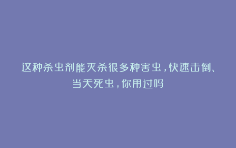 这种杀虫剂能灭杀很多种害虫,快速击倒、当天死虫,你用过吗?
