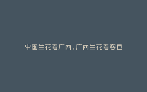 中国兰花看广西,广西兰花看容县