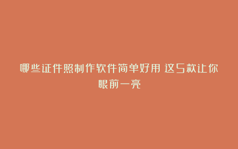 哪些证件照制作软件简单好用?这5款让你眼前一亮