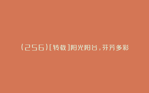 (256)[转载]阳光阳台，芬芳多彩