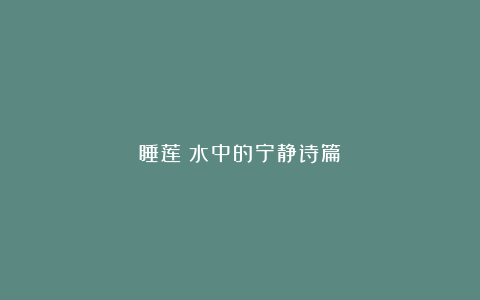 睡莲:水中的宁静诗篇
