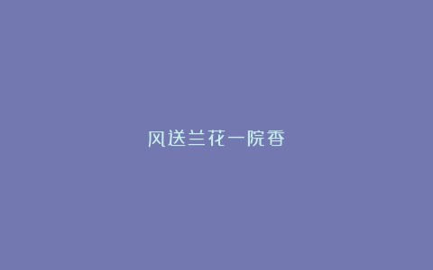 风送兰花一院香