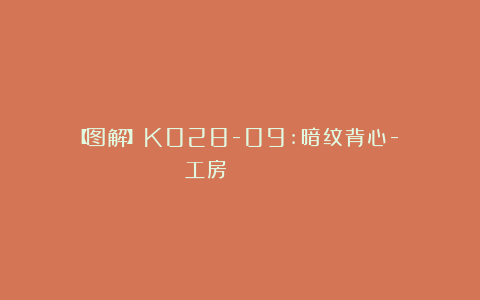 【图解】K028-09:暗纹背心-《風工房のシームレスニット 》