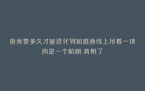鱼类要多久才能进化到知道渔线上吊着一块肉是一个陷阱?真相了!