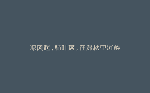 凉风起,枯叶落,在深秋中沉醉