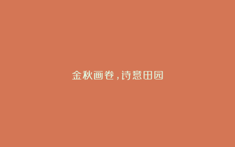 金秋画卷,诗意田园