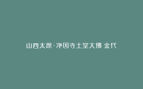 山西太原·净因寺土堂大佛(金代)