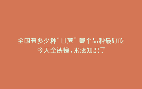 全国有多少种“甘蔗”?哪个品种最好吃?今天全读懂,来涨知识了