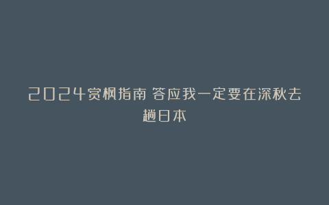 2024赏枫指南|答应我一定要在深秋去趟日本