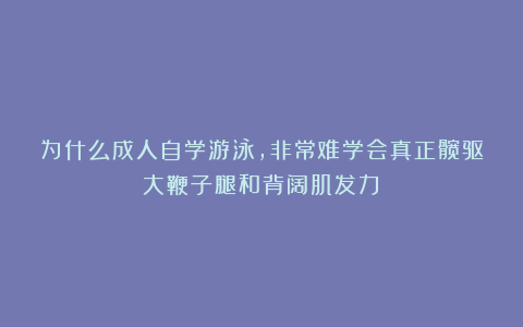 为什么成人自学游泳,非常难学会真正髋驱大鞭子腿和背阔肌发力?