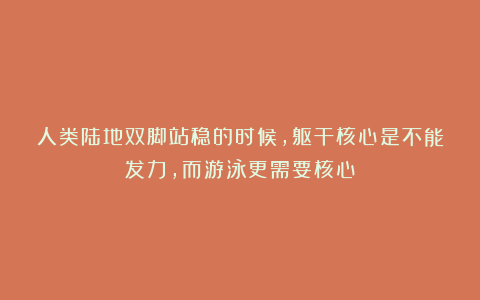 人类陆地双脚站稳的时候,躯干核心是不能发力,而游泳更需要核心