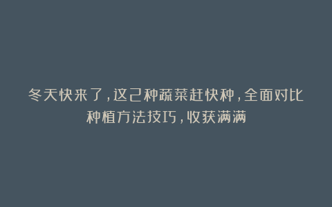 冬天快来了,这2种蔬菜赶快种,全面对比种植方法技巧,收获满满