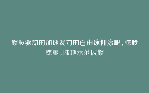 髋腰驱动的加速发力的自由泳仰泳腿,蝶腰蝶腿,陆地示范展髋