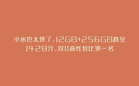 小米也太拼了,12GB+256GB跌至1428元,双11高性价比第一名