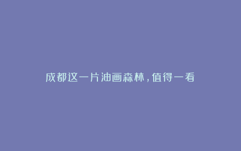 成都这一片油画森林,值得一看!