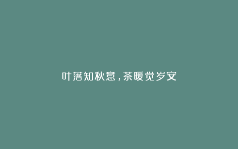 叶落知秋意,茶暖觉岁安