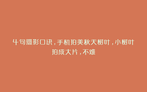 4句摄影口诀,手机拍美秋天树叶,小树叶拍成大片,不难