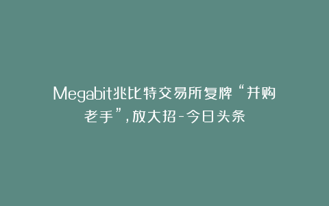 Megabit兆比特交易所复牌!“并购老手”,放大招-今日头条