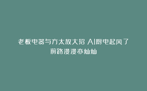 老板电器与方太放大招!AI厨电起风了:前路漫漫亦灿灿