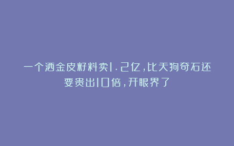 一个洒金皮籽料卖1.2亿,比天狗奇石还要贵出10倍,开眼界了!