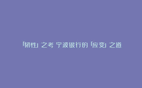 「韧性」之考:宁波银行的「应变」之道