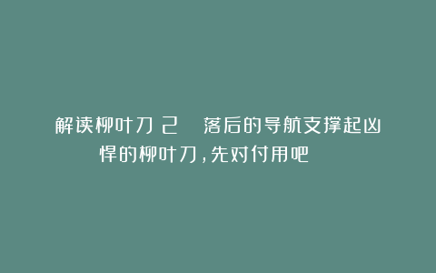 解读柳叶刀(2): 落后的导航支撑起凶悍的柳叶刀,先对付用吧!☆☆☆☆☆