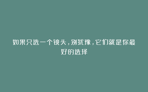 如果只选一个镜头,别犹豫,它们就是你最好的选择