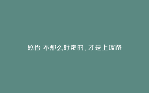 感悟:不那么好走的,才是上坡路