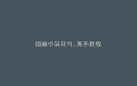 国画小品花鸟,美不胜收!