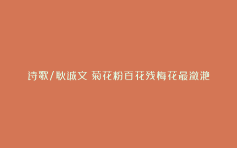 诗歌/耿诚文:菊花粉百花残梅花最潋滟