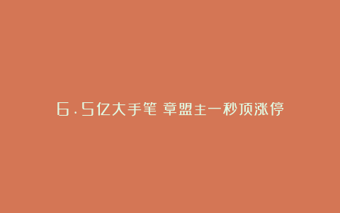6.5亿大手笔!章盟主一秒顶涨停!