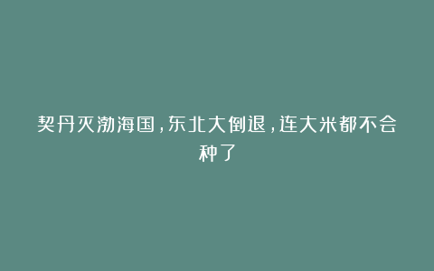 契丹灭渤海国,东北大倒退,连大米都不会种了