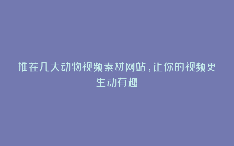 推荐几大动物视频素材网站,让你的视频更生动有趣