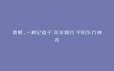 桑树，一种记载于《本草纲目》中的东方神木！
