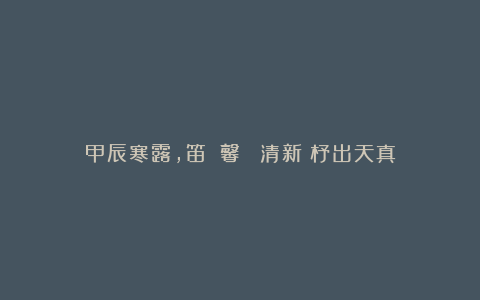 甲辰寒露,笛韻蘭馨書寫~清新機杼出天真