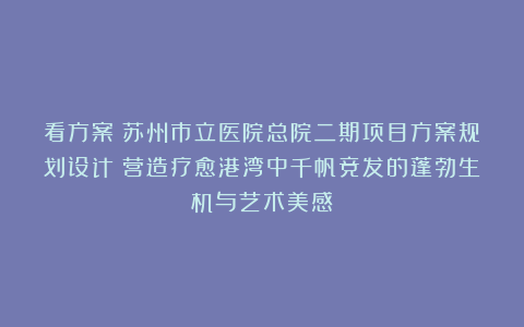 看方案丨苏州市立医院总院二期项目方案规划设计:营造疗愈港湾中千帆竞发的蓬勃生机与艺术美感