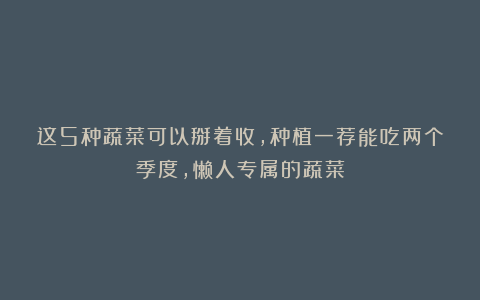 这5种蔬菜可以掰着收,种植一茬能吃两个季度,懒人专属的蔬菜