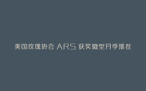 美国玫瑰协会（ARS）获奖微型月季推荐