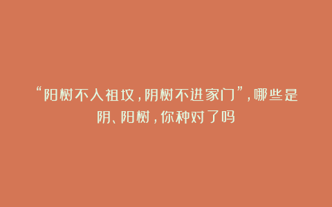 “阳树不入祖坟,阴树不进家门”,哪些是阴、阳树,你种对了吗?