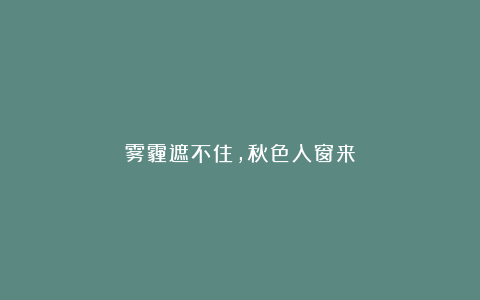 雾霾遮不住,秋色入窗来