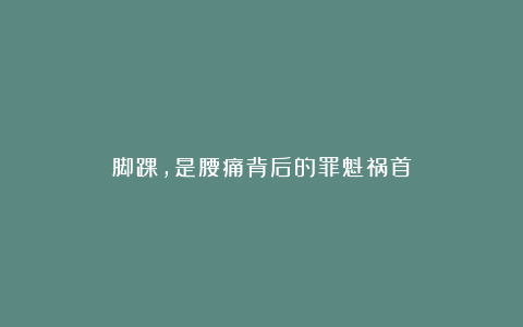 脚踝,是腰痛背后的罪魁祸首