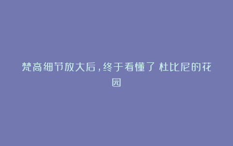 梵高细节放大后,终于看懂了(杜比尼的花园)