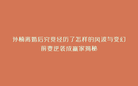 孙楠离婚后究竟经历了怎样的风波与变幻?前妻逆袭成赢家揭秘!
