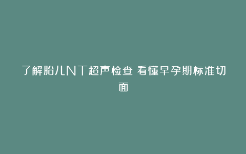 了解胎儿NT超声检查:看懂早孕期标准切面